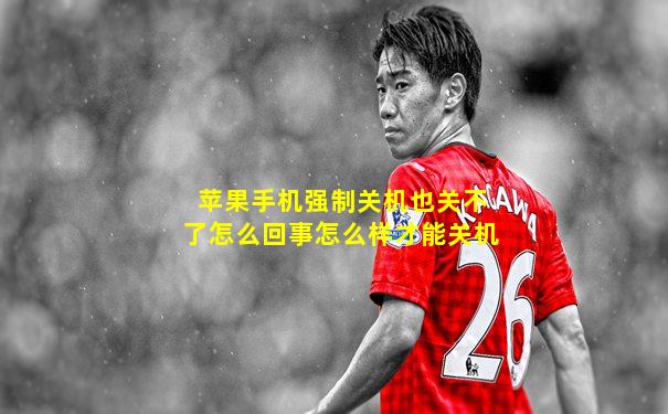 苹果手机强制关机也关不了怎么回事怎么样才能关机