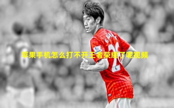 苹果手机怎么打不开王者荣耀了呢视频