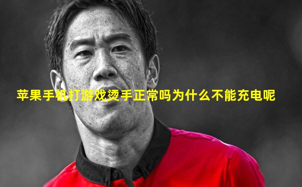 苹果手机打游戏烫手正常吗为什么不能充电呢