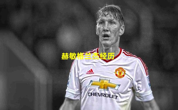 赫敏格兰杰经历