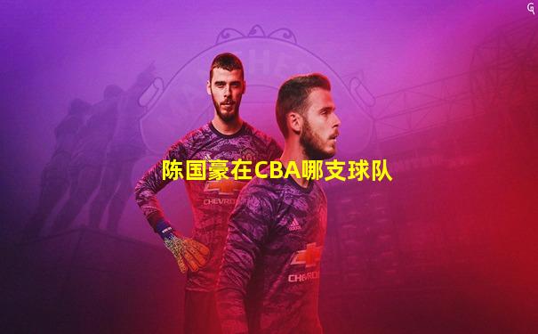 陈国豪在CBA哪支球队