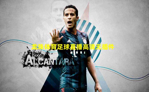 龙珠体育足球直播高清无插件